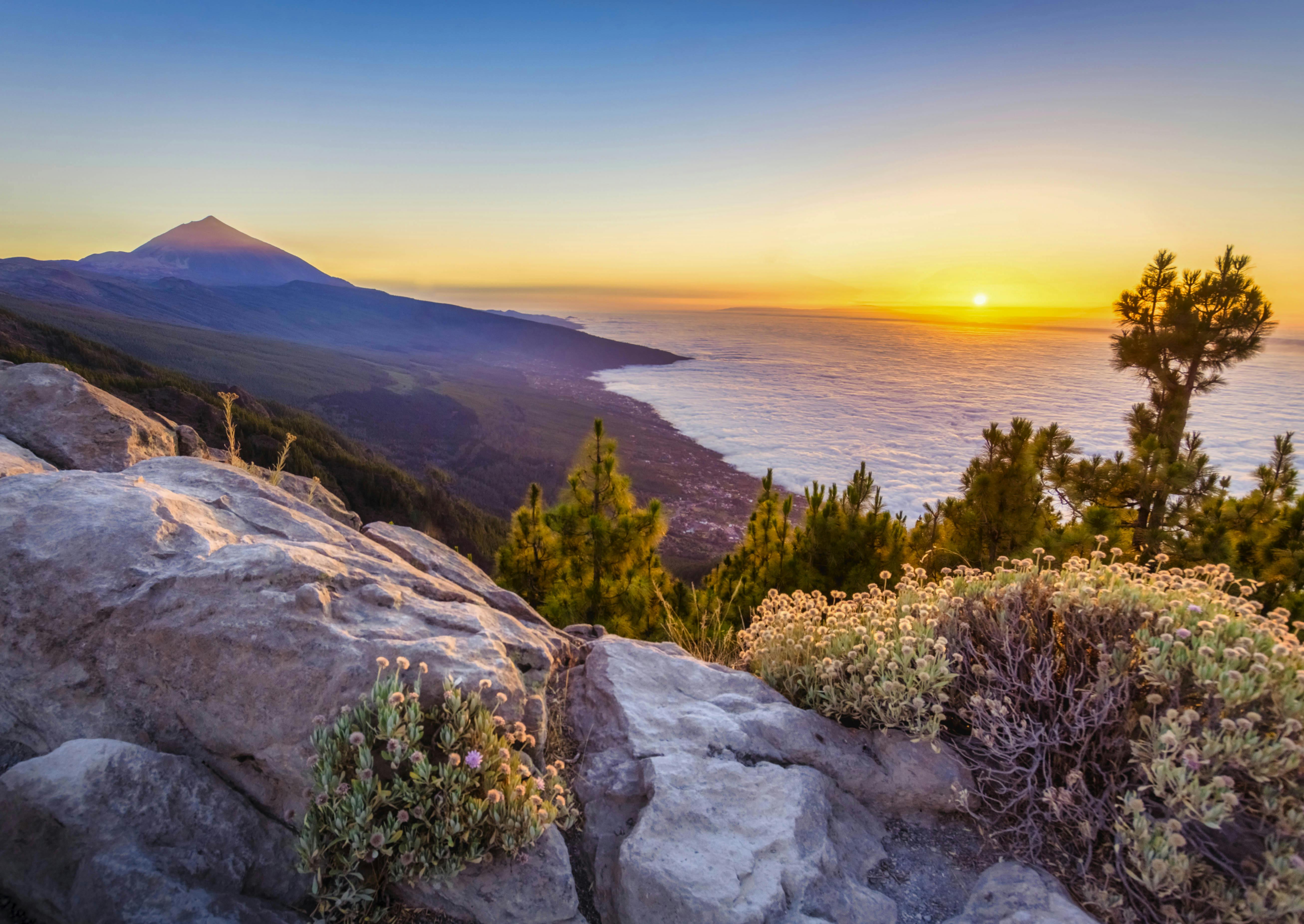 Sun-kissed Tenerife retreat by the sea  Secret Escapes