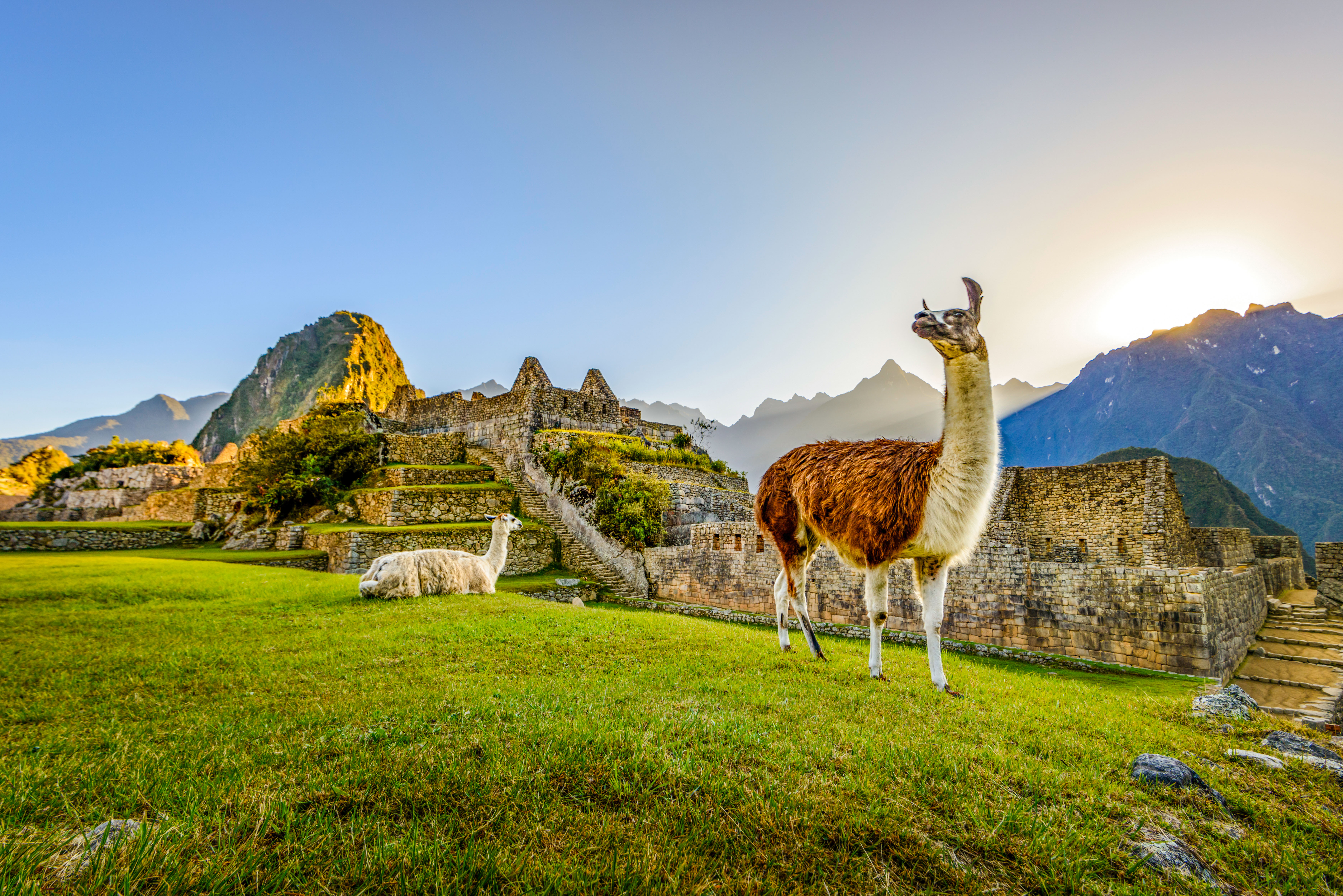 Betoverend Peru-avontuur naar Machu Picchu & de Heilige Vallei