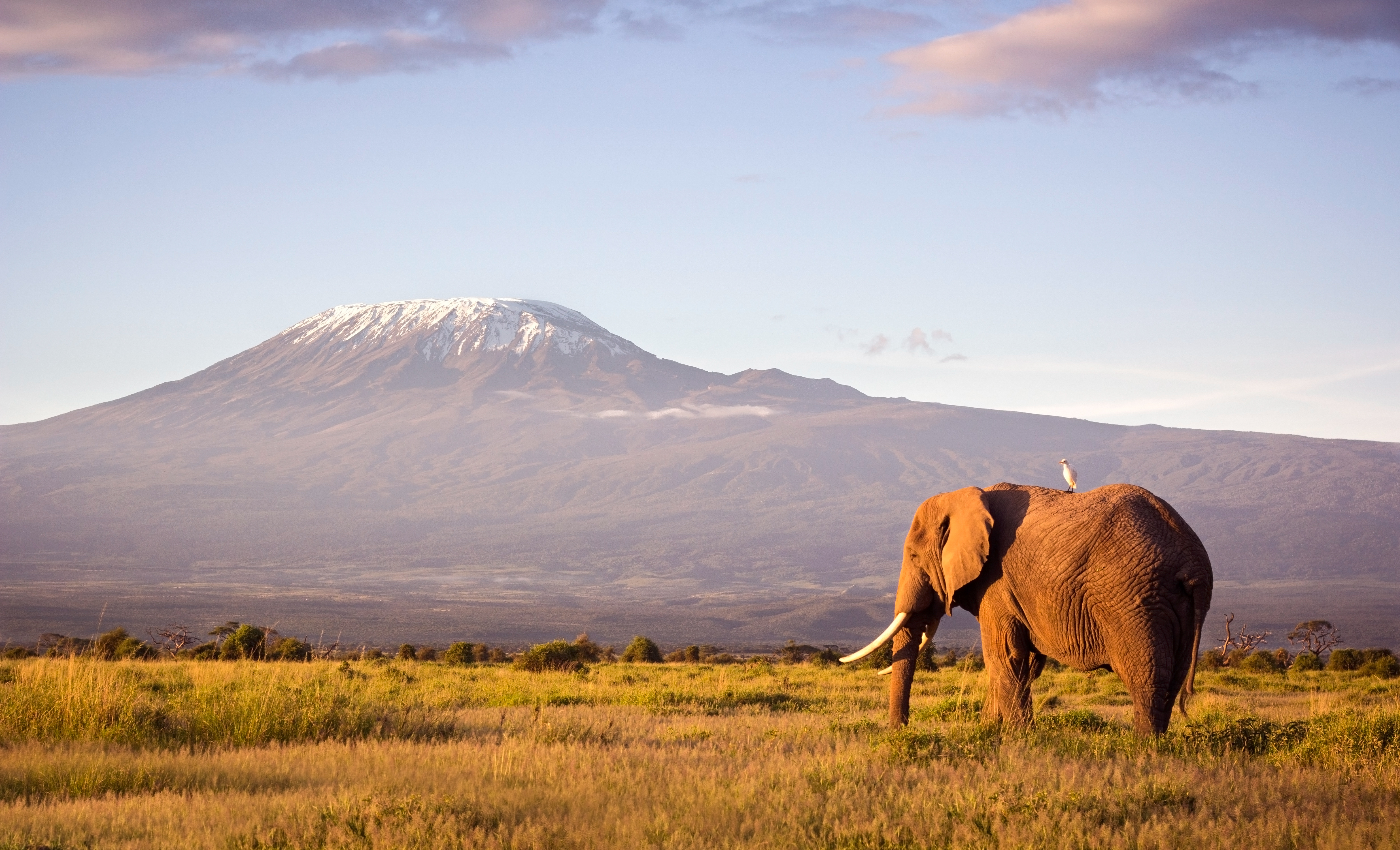 Bucket-list Kenya Beach & Safari Getaway | Secret Escapes