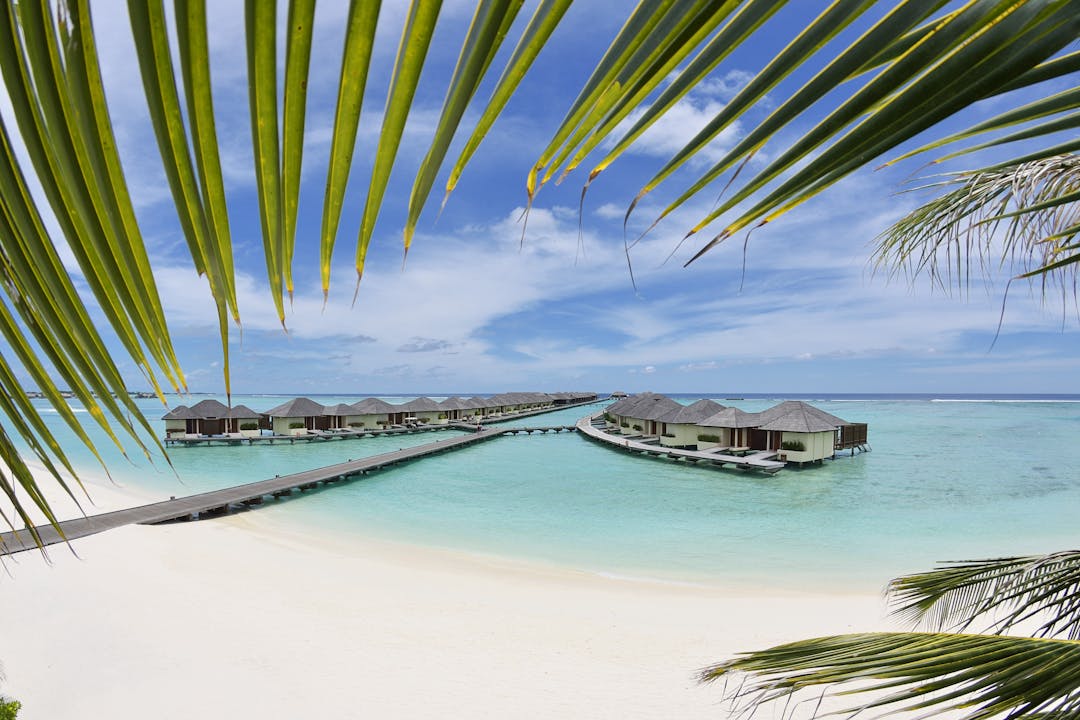 Парадиз. Парадайз Айленд Мальдивы. Парадиз Исланд Резорт Мальдивы. Отель Paradise Island Resort & Spa 5*. Отель Парадиз Айленд на Мальдивах.