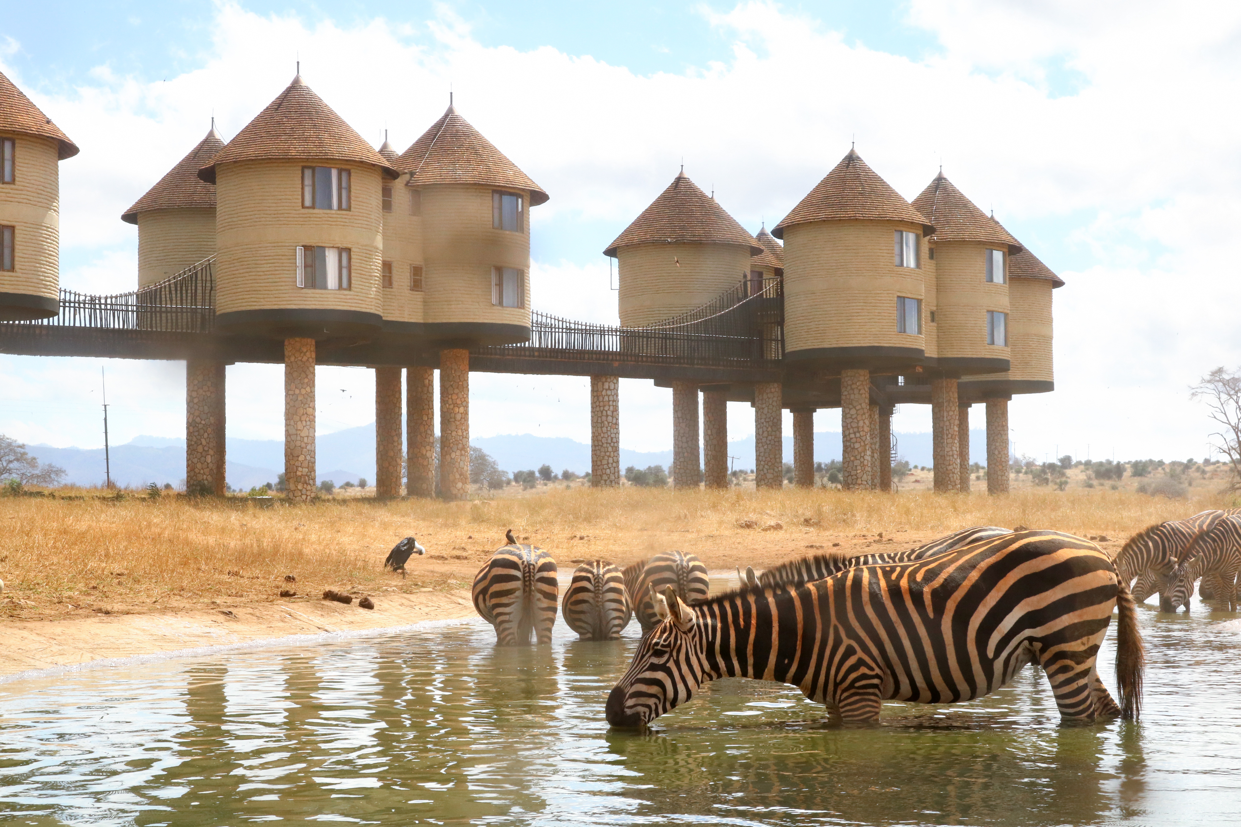 Luxurious Kenya Beach Stay With Safari Options | Secret Escapes