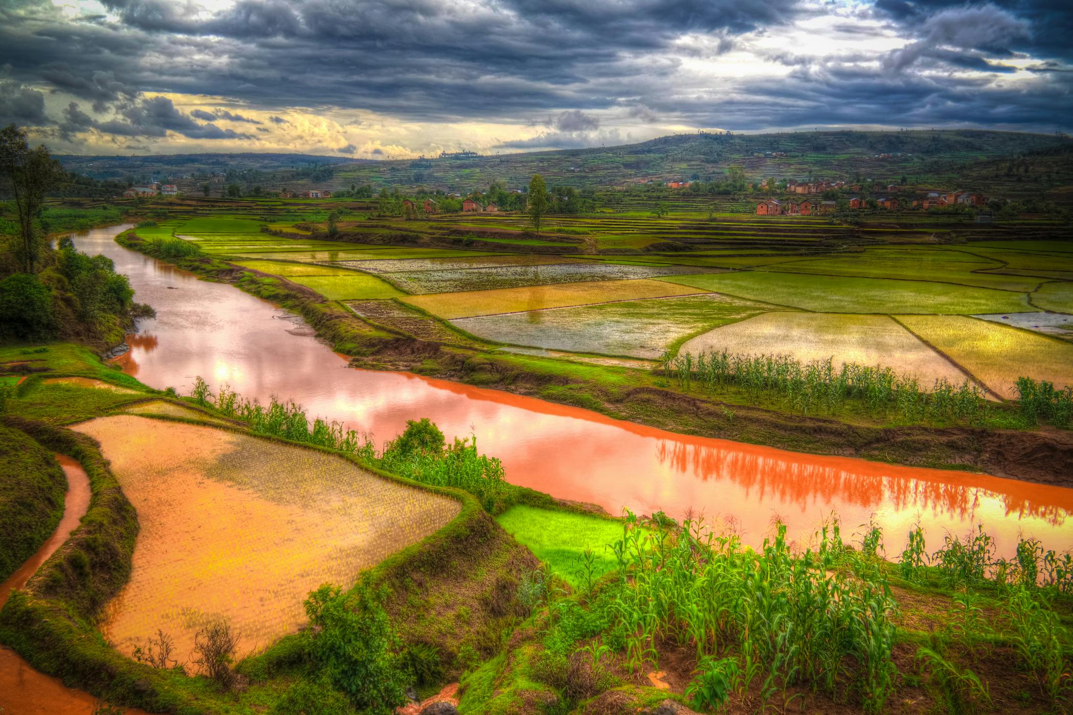 Rice fields by the Onive river in Madagascar