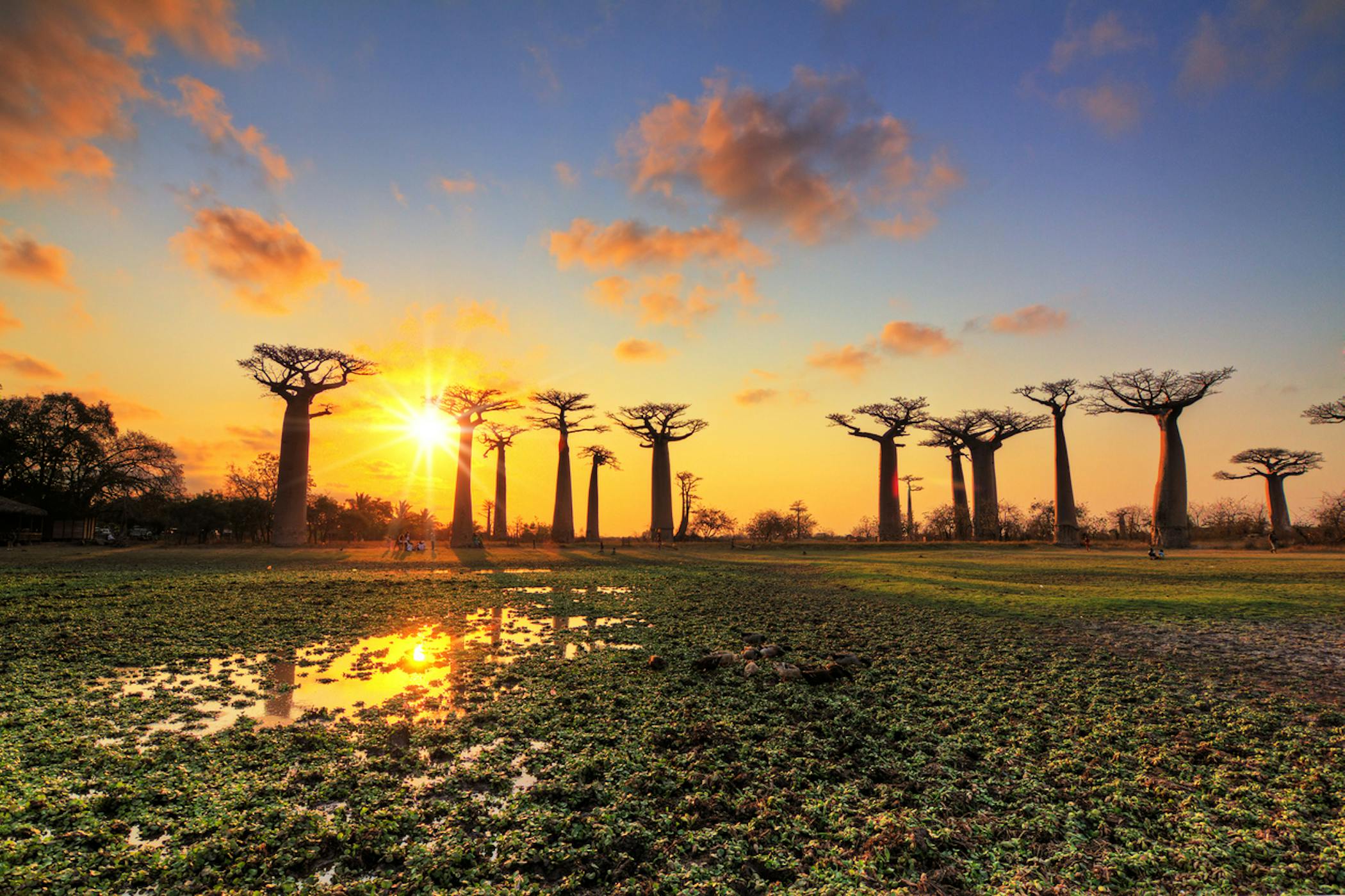Sweeping vistas, ancient baobabs and African sunsets: welcome to Madagascar