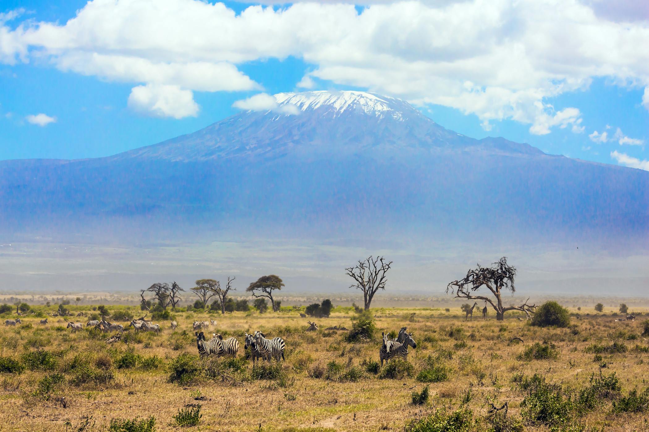 Amboseli-Nationalpark