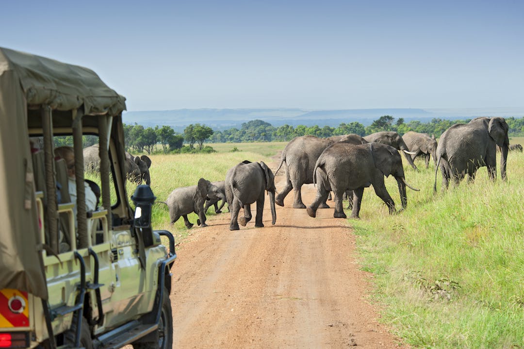 best safari near zanzibar
